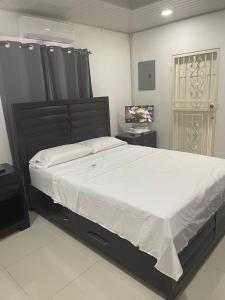 ein Schlafzimmer mit einem großen Bett und einem TV in der Unterkunft JEANOEL Chateau Cozy 2beds 1bath apartment in San Fernando