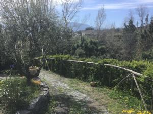 Tenuta Terradifuoco