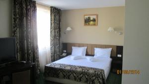 a hotel room with a bed and a television at Hotel Bistrita in Bacău