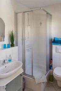 a bathroom with a shower and a sink and a toilet at Gästehaus Bechtloff in Meißen