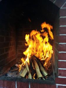 Imagen de la galería de Pensiunea Coca, en Băile Felix