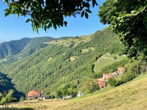 Příroda nedaleko hostelu + 37 fotografií