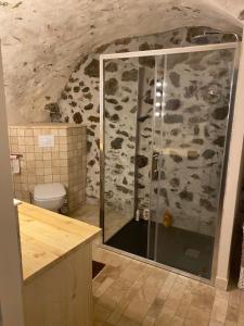 a bathroom with a shower with a stone wall at La Genevraie in Gap +10 photos