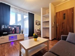 a living room with a couch and a tv at Euro24 Apartamenty Rumia Klon - studio z balkonem in Rumia