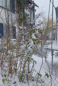 FeWo Heidenheim Bluewall om vinteren