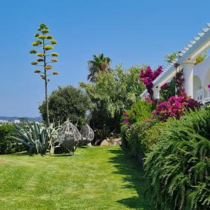 a yard with plants and flowers on a house at Hotel Albatros in Ischia