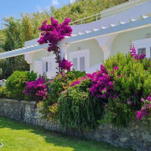 a house with purple flowers on a stone wall at Hotel Albatros in Ischia