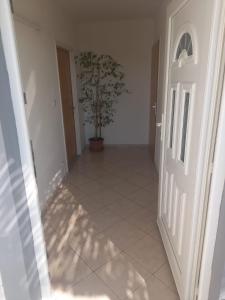 Fotografie z fotogalerie ubytování Apartmani Branka v destinaci Rtina
