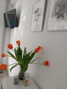 TV/trung tâm giải trí tại Chez Koen