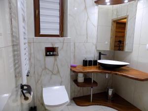 Kúpeľňa v ubytovaní Apartament nr 4 U Miśka z dwoma sypialniami
