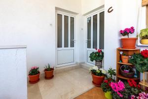 Zahrada ubytování Cozy 1-bedroom apartment near the center of Trogir