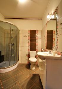 ein Bad mit einem WC, einem Waschbecken und einer Dusche in der Unterkunft Beskidnik in Polańczyk