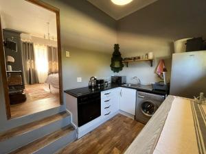 eine kleine Küche mit Spüle und Geschirrspüler in der Unterkunft Stellenhaus Guest Cottage in Stellenbosch