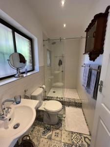 a bathroom with a toilet and a sink and a shower at Stellenhaus Guest Cottage in Stellenbosch