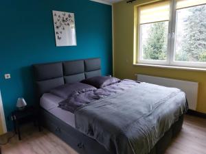 a bedroom with a bed with blue walls and two windows at Zur alten Werkstatt in Schwarzenberg/Erzgebirge