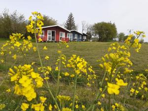 Vonkajšia záhrada v ubytovaní Kiszkowianka domki