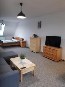 Televiisor ja/või meelelahutuskeskus majutusasutuses Černá v Pošumaví Apartmán