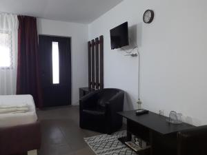 a living room with a couch and a chair and a table at Casa Chitu in Murighiol