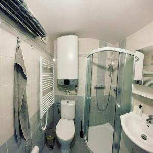Kúpeľňa v ubytovaní Apartmán Galerie - Lipno nad Vltavou