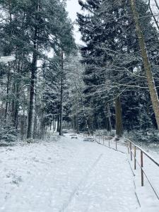 Apartmán Galerie - Lipno nad Vltavou v zime