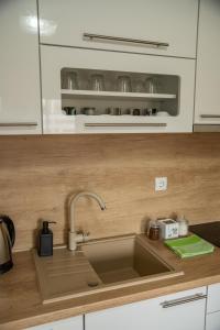 Kuchyň nebo kuchyňský kout v ubytování Apartmani Lotus Vrdnik