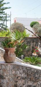 メレンドゥーニョにあるGuesthouse da Filibertoの石垣に座る花瓶の植物