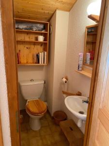 a small bathroom with a toilet and a sink at CHALET DES NEIGES in Les Carroz d'Araches