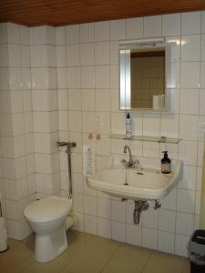 ein Bad mit einem WC und einem Waschbecken in der Unterkunft Appartement 25 qm mit Bad an der Mosel - Nähe Koblenz in Dieblich