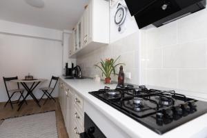a kitchen with a stove top oven in a room at ALPASIO RENTALS in Galaţi