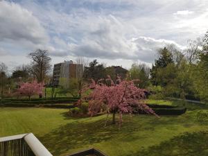 a garden with a tree in the middle of a field at Chez Lisa & Olivier in Athis-Mons