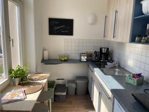 eine Küche mit einer Spüle und einer Arbeitsplatte in der Unterkunft Studio 11 in Torgau