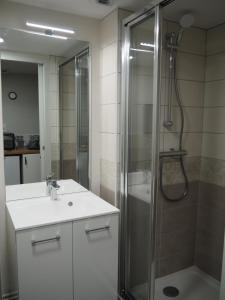 La salle de bains est pourvue d'une douche et d'un lavabo. dans l'établissement Agréable studio aux rousses, aux Rousses