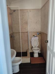 een badkamer met een toilet, een douche en een wastafel bij Las Palmeras RIKI R in Boca Chica