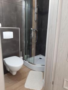 Koupelna v ubytování Apartament Zamkowy + 5 fotografií