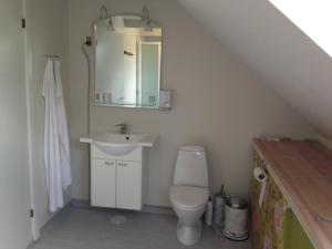 a bathroom with a toilet and a sink and a mirror at Kirke Saaby Forsamlingshus in Kirke Såby