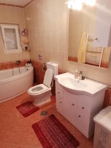 a bathroom with a toilet and a sink and a bath tub at Tea in Povljana