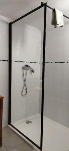 a shower with a glass door in a bathroom at La Maison des Escargots in Blanzay +25 photos