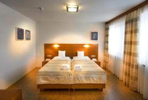 ein Schlafzimmer mit einem großen Bett mit zwei Kissen darauf in der Unterkunft Hotel Celnice in Břeclav