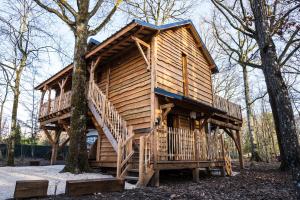 a wooden cabin in the woods with a tree at Charmante Cabane dans les arbres avec jacuzzi et sauna in Boismorand