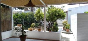a garden with potted plants and trees on a patio at Casa Maria Bartolomeo in Marsala