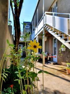 Zahrada ubytování Sunhome Stepanavan Guest House