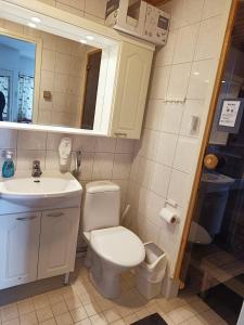 une salle de bain avec toilettes, lavabo et miroir dans l'établissement Saunallinen lomahuoneisto LeviStar 1, à Kittilä