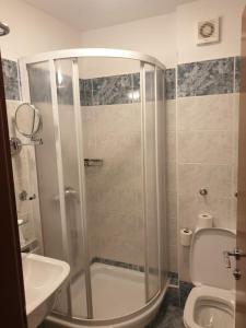 a bathroom with a shower and a toilet and a sink at Aparthotel Rosa - apartma 204 in Podčetrtek