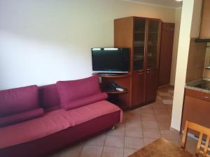 sala de estar con sofá rojo y TV en Aparthotel Rosa - apartma 204 en Podčetrtek