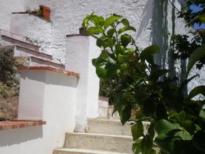 Fotografie z fotogalerie ubytování Apartamentos Rurales El Cañuelo de Carcabuey v destinaci Carcabuey