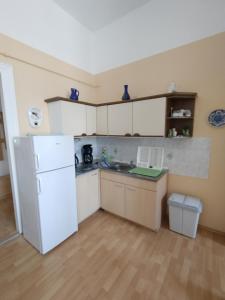 Kuchyň nebo kuchyňský kout v ubytování Villa Freya