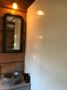 een badkamer met een wastafel en een spiegel bij De Túnfûgel (tiny house) in Jonkersland