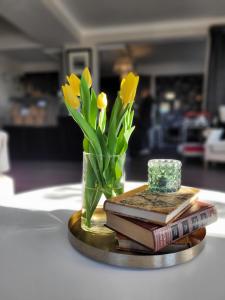 Foto dalla galleria di Strand Hotell a Vänersborg