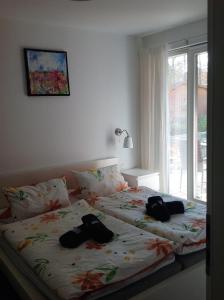 ein Schlafzimmer mit einem Bett, auf dem zwei Taschen liegen in der Unterkunft Ferienwohnung Baabe in Baabe
