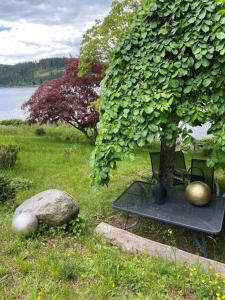 Afbeelding uit fotogalerij van Schluchsee, Villa Seepark in Schluchsee